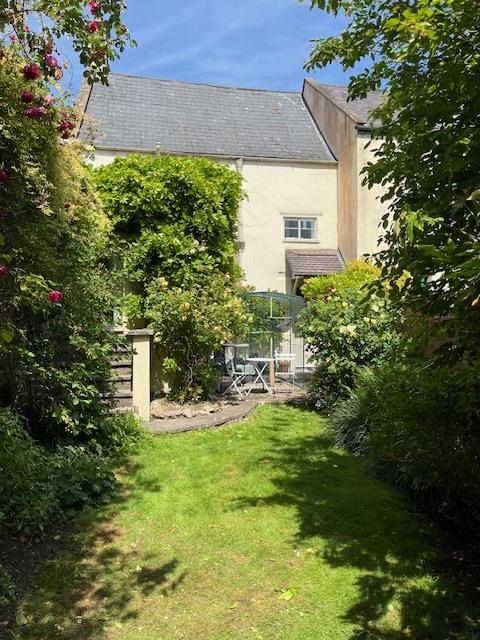 garden2.jpg